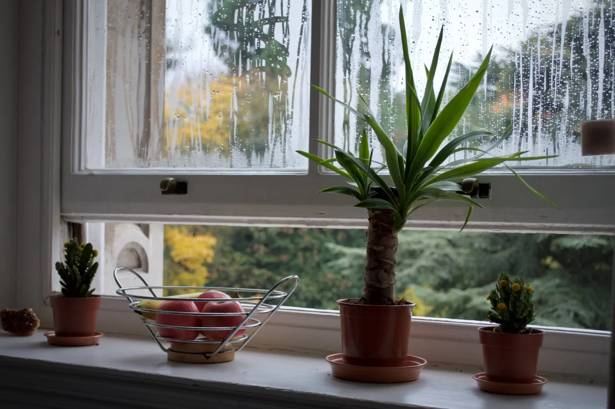 basics of feng shui keep a window open when cleaning